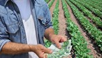 Ραβασάκια με 10.000 ευρώ σε 60.000 «ξεχασμένους» αγρότες