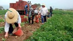 Επιδότηση νέων αγροτών μέχρι 22.000 ευρώ, οι όροι και προϋποθέσεις