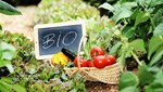 ΕΕ: Νέοι αυστηρότεροι κανόνες πιστοποίησης για τα βιολογικά προϊόντα