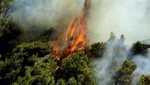 Στοιχεία-σοκ: 53.983 πυρκαγιές στην Ελλάδα από το 1980 έως το 2016 - Έχουν καεί 16,6 εκατ. στρέμματα
