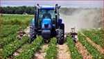 Λιβανός: Αυτά είναι τα οκτώ μέτρα για την προστασία των ελληνικών αγροτικών προϊόντων