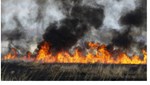 Πυρκαγιές: Νέα καταβολή αποζημιώσεων στους δικαιούχους Κρατικής Αρωγής