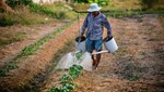 Υπουργείο Αγροτικής Ανάπτυξης: Οι 10 προτεραιότητες και οι 3 στόχοι για το 2022