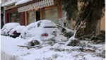 Δήμος Αθηναίων: Αποζημιώσεις για αυτοκίνητα που υπέστησαν ζημιές από πτώσεις δέντρων – Η διαδικασία
