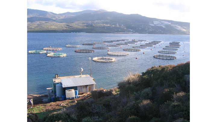 Από μεθαύριο η διαπραγμάτευση των νέων μετοχών Τεχνικής Ολυμπιακής και Σελόντα Από μεθαύριο η διαπραγμάτευση των νέων μετοχών Τεχνικής Ολυμπιακής και Σελόντα