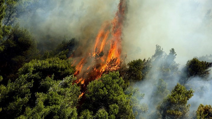 ÎÏÎ¿ÏÎ­Î»ÎµÏÎ¼Î± ÎµÎ¹ÎºÏÎ½Î±Ï Î³Î¹Î± ÏÏÏÎºÎ±Î³Î¹ÎµÏ ÏÏÎ± Î´Î±ÏÎ·