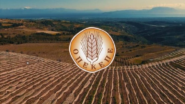 Πλήρωσε 4,5 εκατ. ευρώ σε 684 δικαιούχους ο ΟΠΕΚΕΠΕ Πλήρωσε 4,5 εκατ. ευρώ σε 684 δικαιούχους ο ΟΠΕΚΕΠΕ
