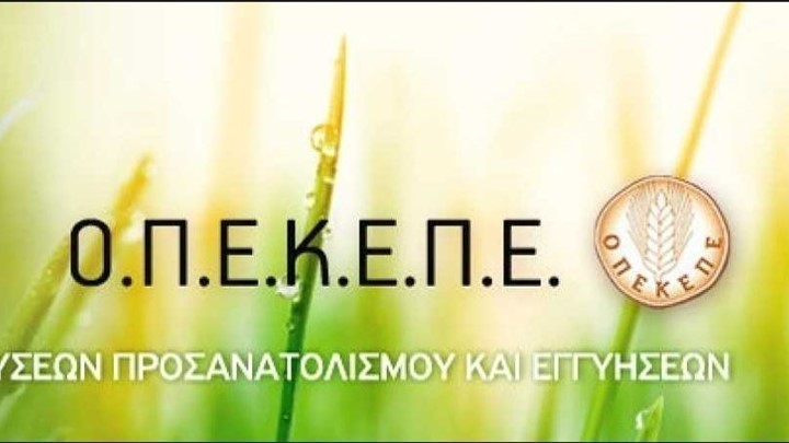 Σε πληρωμές 3,1 εκατ. ευρώ προχώρησε ο ΟΠΕΚΕΠΕ Σε πληρωμές 3,1 εκατ. ευρώ προχώρησε ο ΟΠΕΚΕΠΕ