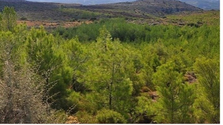 Αμυράς: Έρχονται λύσεις για τους δασικούς χάρτες στα Δωδεκάνησα Αμυράς: Έρχονται λύσεις για τους δασικούς χάρτες στα Δωδεκάνησα