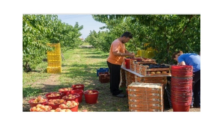 Τα αγροδιατροφικά προϊόντα στην «προμετωπίδα» των ελληνικών εξαγωγών Τα αγροδιατροφικά προϊόντα στην «προμετωπίδα» των ελληνικών εξαγωγών