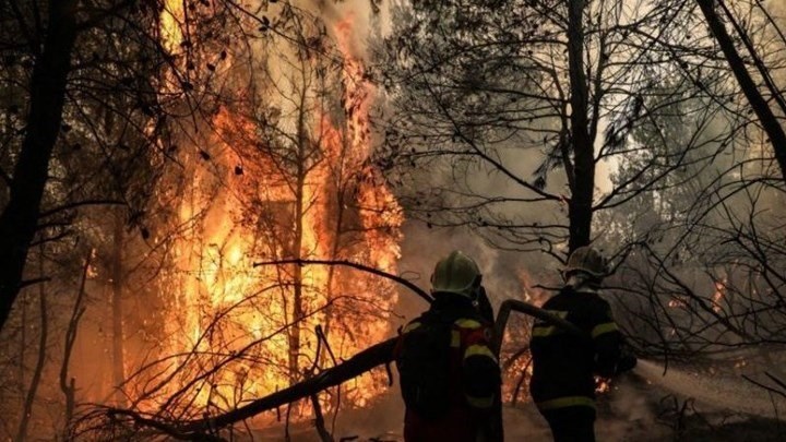 Κάλυψη ασφαλιστικών εισφορών λόγω αναστολής ή καταγγελίας συμβάσεων εργασίας των πυρόπληκτων στην Εύβοια Κάλυψη ασφαλιστικών εισφορών λόγω αναστολής ή καταγγελίας συμβάσεων εργασίας των πυρόπληκτων στην Εύβοια