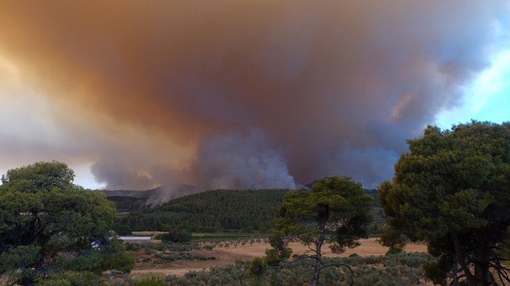 Μαίνεται ο πύρινος εφιάλτης στα χωριά της Εύβοιας: Μάχη σε πολλαπλά μέτωπα - Vimarsana News